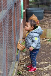 IMG_7051