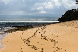 IMG_7639-2