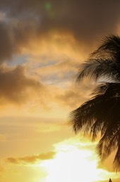 IMG_7873-2