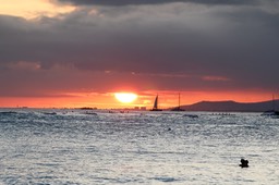 IMG_7886-2
