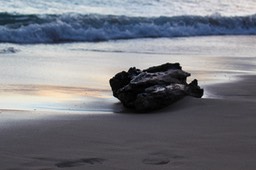 IMG_7925-2