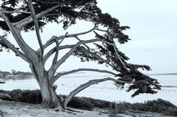 IMG_8800