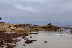 IMG_8805
