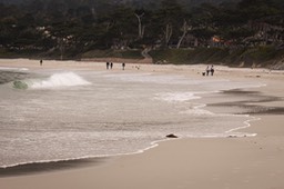 IMG_8814