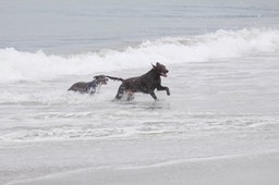 IMG_8836