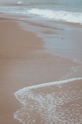 IMG_8850
