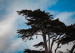 IMG_8853