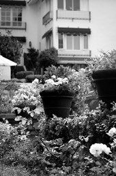 IMG_8854