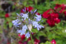 IMG_8861