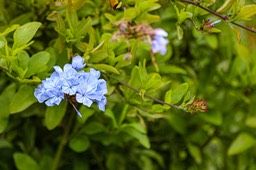 IMG_8866