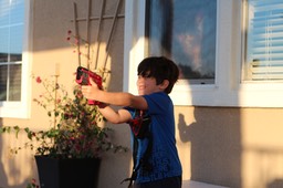 IMG_9080