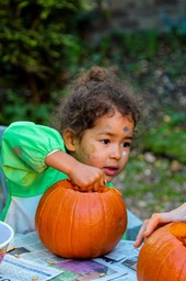 IMG_9560
