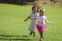 IMG_0382-2