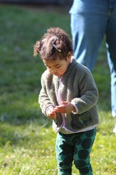 IMG_0422