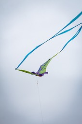IMG_1828