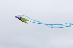 IMG_1837