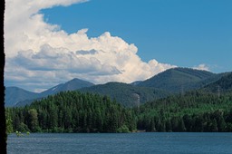 IMG_2946