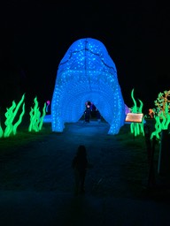 IMG_3703