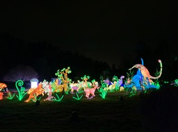 IMG_3718