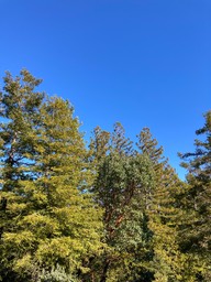 IMG_7095