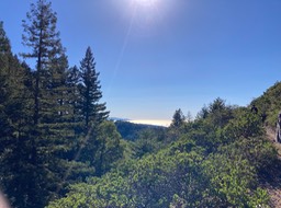 IMG_7105