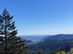 IMG_7112