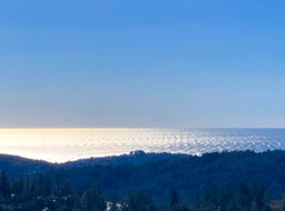 IMG_7116