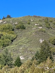 IMG_7119