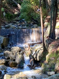 IMG_7136