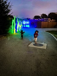 IMG_7239