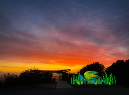 IMG_7242