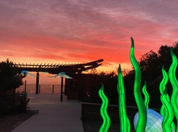 IMG_7244