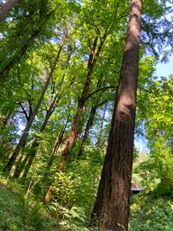 IMG_7730