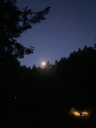 IMG_8125