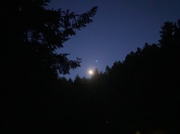 IMG_8129
