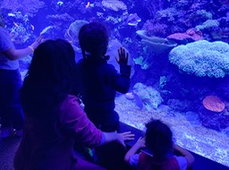 IMG_9204
