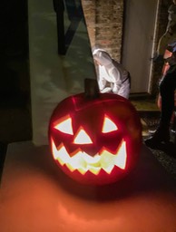 IMG_9268