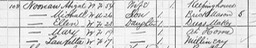 1880Census.jpg