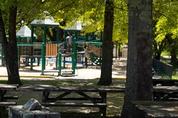 IMG_3501