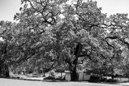IMG_3777