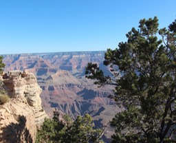 IMG_8320.jpg