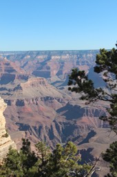 IMG_8321.jpg