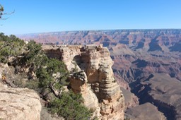 IMG_8323.jpg