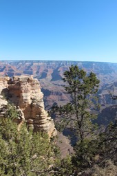 IMG_8324.jpg