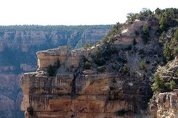 IMG_8330.jpg