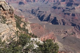 IMG_8331.jpg