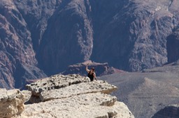 IMG_8341.jpg