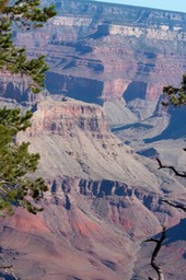 IMG_8352.jpg