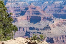 IMG_8353.jpg