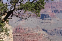 IMG_8364.jpg